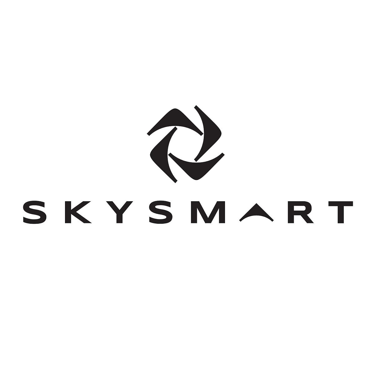 LOGOSKYSMART.jpg [58.63 KB]